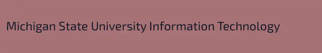 Michigan State University Information Technology